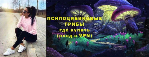 СК Михайловка