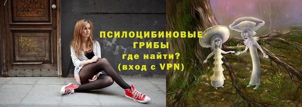 эйфоретик Билибино