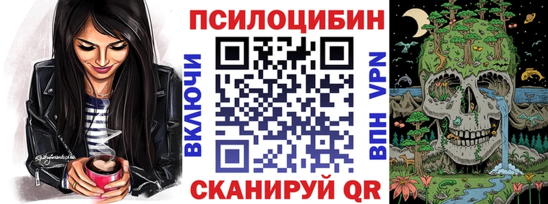 Псилоцибиновые грибы GOLDEN TEACHER  магазин  наркотиков  Чебаркуль 