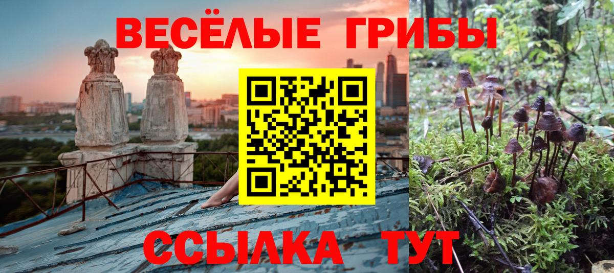 Галлюциногенные грибы Magic Shrooms Чебаркуль