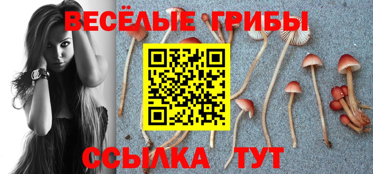 Галлюциногенные грибы ЛСД  Вход с VPN  Чебаркуль 